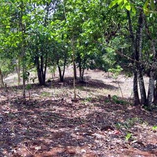 template-english_clip_image002_0005