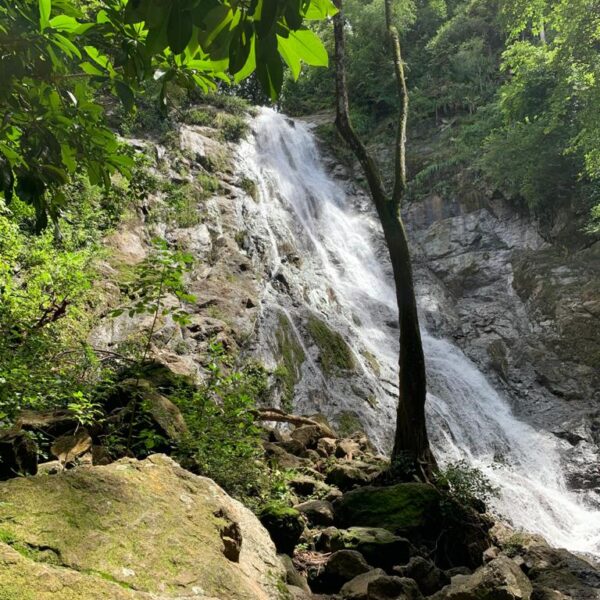 WhatsApp Image 2020-09-23 at 15.47.08