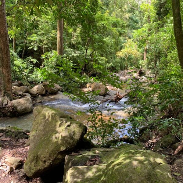 WhatsApp Image 2020-09-23 at 15.47.09 (1)