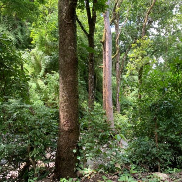 WhatsApp Image 2020-09-23 at 15.47.09 (2)