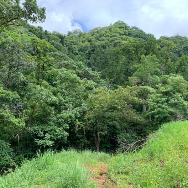 WhatsApp Image 2020-09-23 at 15.47.09 (3)