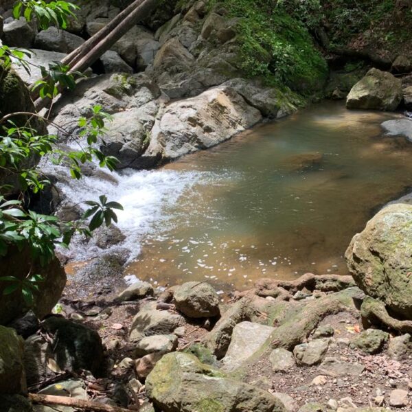 WhatsApp Image 2020-09-23 at 15.47.09