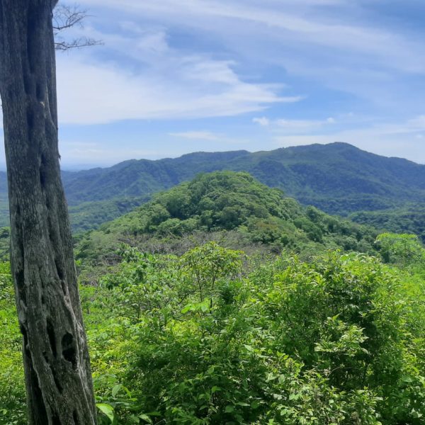 WhatsApp Image 2020-06-13 at 16.17.46 (2)