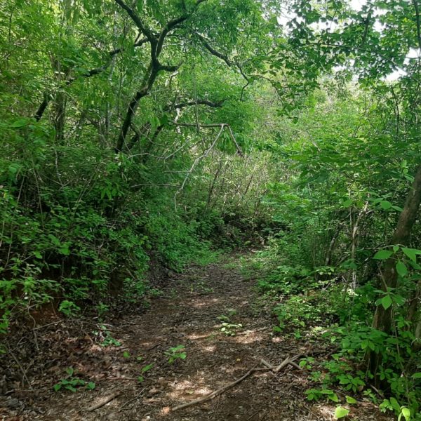 WhatsApp Image 2020-06-13 at 16.17.46