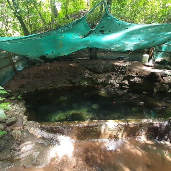 WhatsApp Image 2020-06-13 at 16.21.05