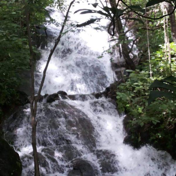 WhatsApp Image 2020-06-13 at 23.10.51