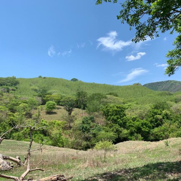 WhatsApp Image 2020-06-14 at 13.06.01 (1)