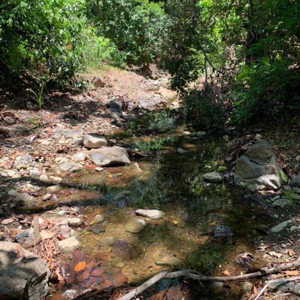 WhatsApp Image 2020-06-14 at 13.06.01 (10)