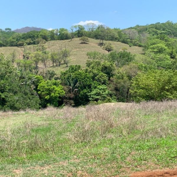 WhatsApp Image 2020-06-14 at 13.06.01 (3)