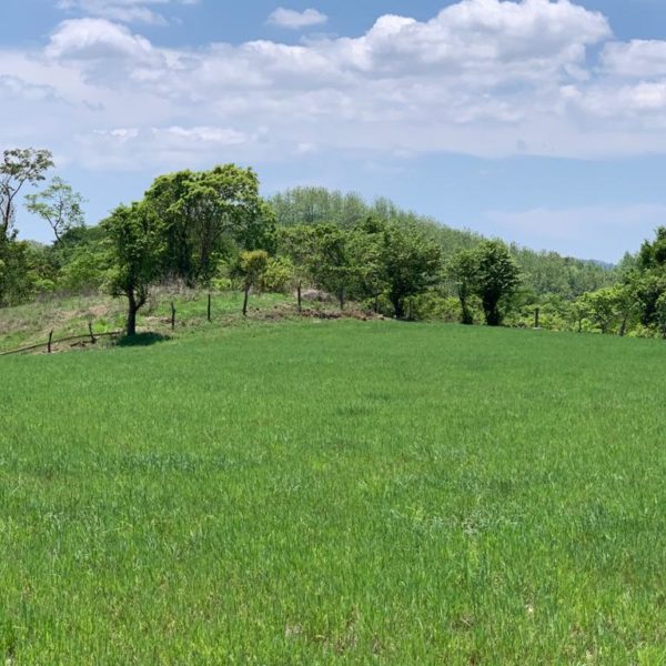 WhatsApp Image 2020-06-14 at 13.06.01 (5)