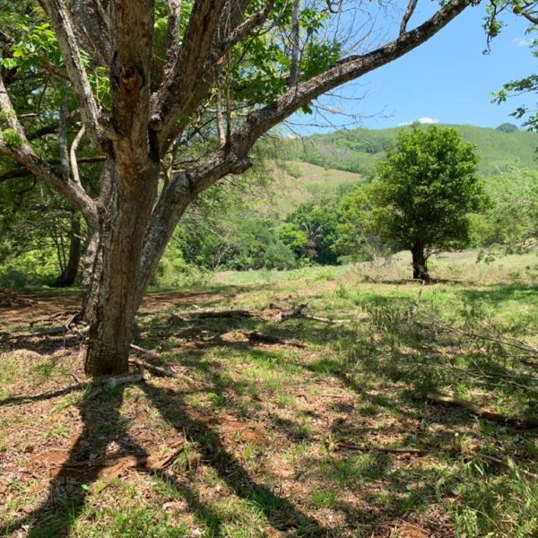 WhatsApp Image 2020-06-14 at 13.06.01 (6)