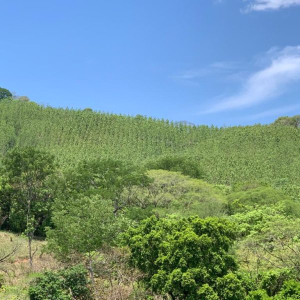 WhatsApp Image 2020-06-14 at 13.06.01