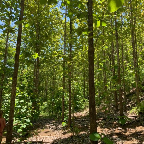 WhatsApp Image 2020-06-14 at 13.06.01 (9)