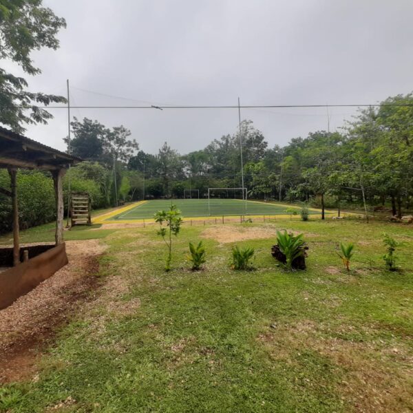 WhatsApp Image 2020-08-28 at 11.13.38 (2)