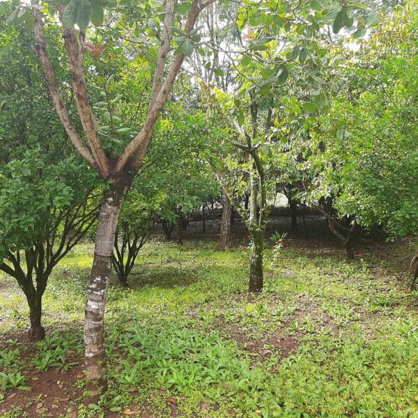 WhatsApp Image 2020-08-28 at 11.13.39 (2)