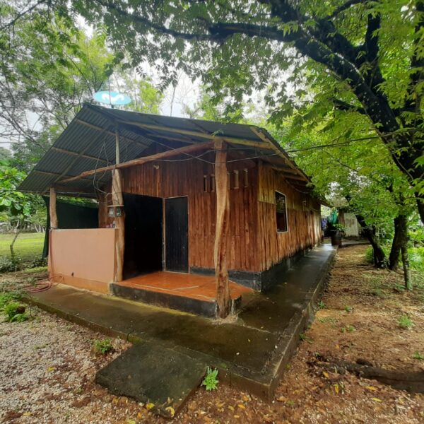 WhatsApp Image 2020-08-28 at 11.13.40 (1)