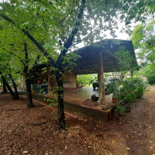 WhatsApp Image 2020-08-28 at 11.13.42