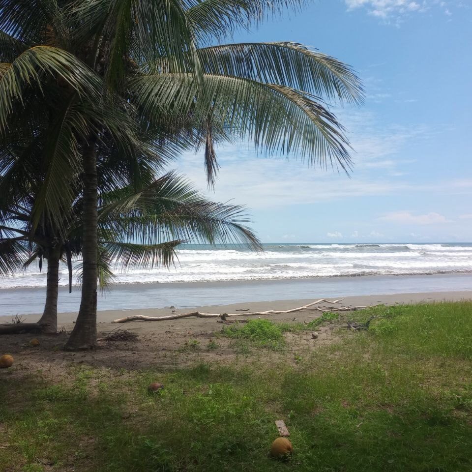 Costa Rica Real Estate in Guanacaste, Oceanview Properties, Fincas