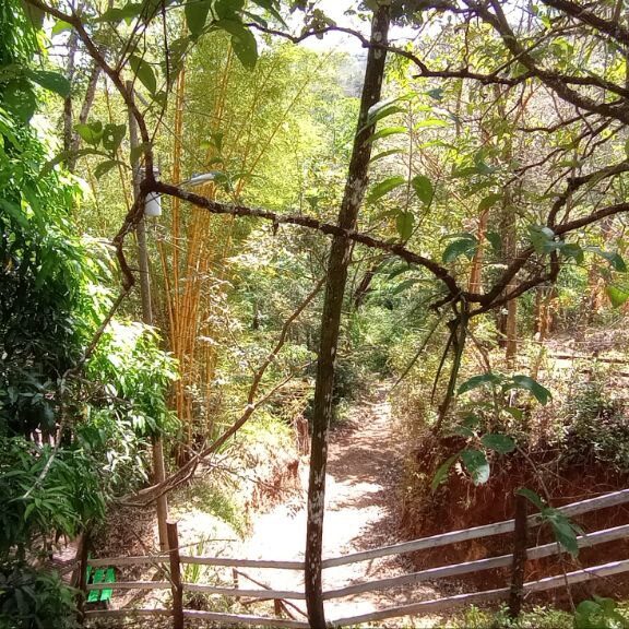 11 View from Balcony