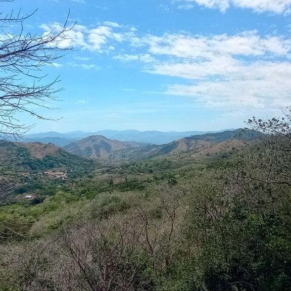 2 View East