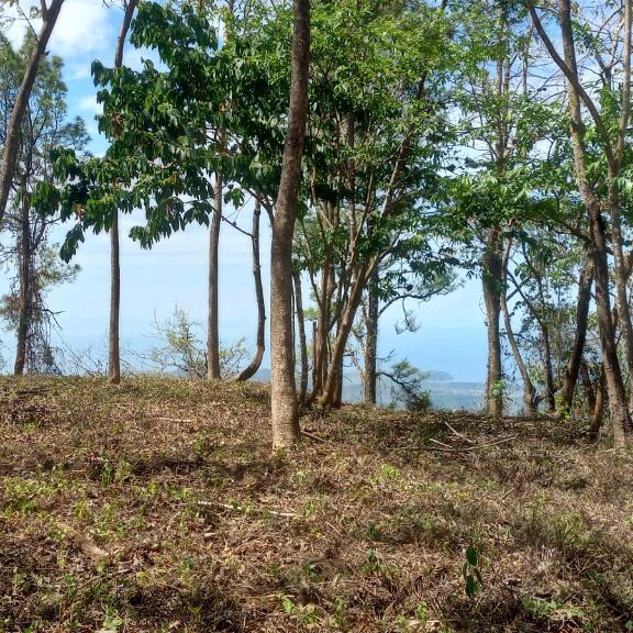 8 View Plateau Ocean