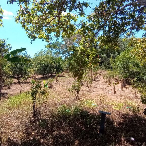 8- property from down