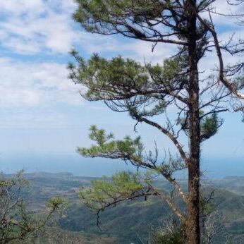 View 2