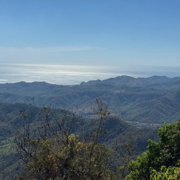 view 1